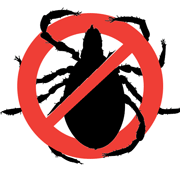 Уничтожение тараканов, клопов Бишкек